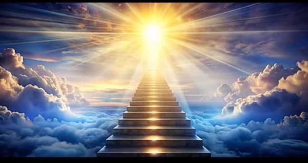 Camino De Luz